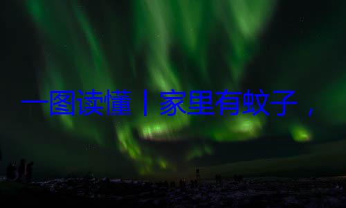 家里有蚊子一图读懂丨咬，这样做速战速决不挨