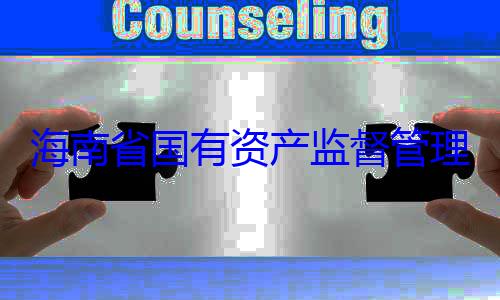 海南省国有委副书记王有福接受审资产监督管理委员会党查调查